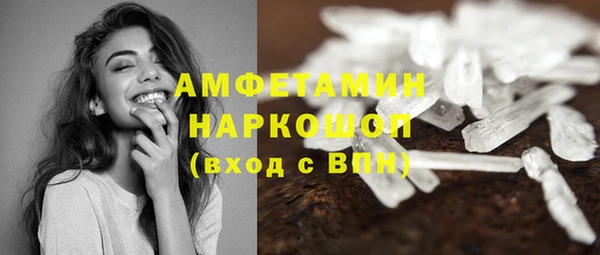 гидра Богданович