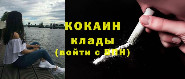 МДПВ Богородск