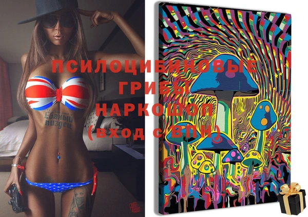 гидра Богданович