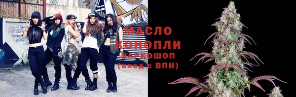 МДПВ Богородск