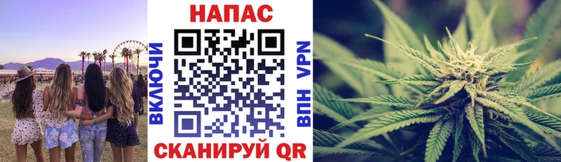 Канабис план Городец
